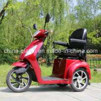 Ce Approved Electric Handicapped Equipment