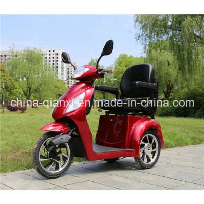 Ce Approved Three Wheel Handicapped Bike