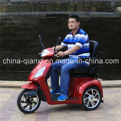 3 Wheel Bicycle for Elderly with Ce Certificate