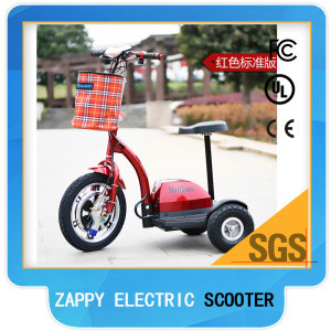 CE Approval Hot Item Motorized Tricycles, OEM Is Welcomed